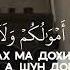 Махди Аш Шишани Сура Аль Мунафикун