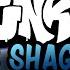 Expurgation Sung By Shaggy The Shaggy Mod EX OST
