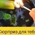 Сюрприз для тебя магия таро гадание