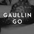 Gaullin GO Audio