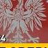 Польские силовики избили группу беженцев Прямые регулярные рейсы из Беларуси в Китай