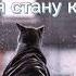 мария ржевская когда я стану кошкой Slowed Reverb