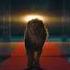 Ziva VFX Lion Simulation LightCut Films