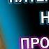 С пятью одновременно на даче сняли на мобильник Рассказы из жизни История любви и измены