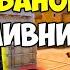 S1MPLE УЖЕ НЕ МОЖЕТ ТЕРПЕТЬ ВЫХОДКИ 4000 ЭЛО ТИММЕЙТОВ СИМПЛ ГОРИТ И УНИЧТОЖАЕТ FACEIT CS GO