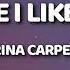 Sabrina Carpenter Because I Liked A Boy Lyrics I M A Homewrecker I M A Slut