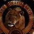 Metro Goldwyn Mayer 1995 1996