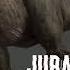Rexy Jurassic World Sound Effects