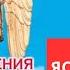 Откровения Ангелов Хранителей Начало 1 Любовь Панова Что такое ясновидение Читает Таль Ман