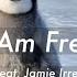 Tinlicker Feat Jamie Irrepressible I Am Free Video Edit Katawpr