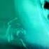 Armin Van Buuren Live Area One A State Of Trance Festival Ahoy Rotterdam 22 02 2025