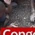 Special Report Inside The Congo Cobalt Mines That Exploit Children