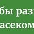Способы развития у насекомых