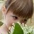 Футаж Ландыши светлого мая привет Spring Background