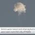 Sirens Heard And Interceptions Seen Over Haifa In Israel