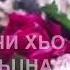 Дала декъала йойла йиша