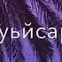Тахана ахь са дохийн дог кхечо хьоьстур ду