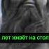 37 Лет на Вершине Столба Невероятная История Симеона Столпника история факты монах