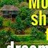 Mountain Shadows Resort A Dreamy Vacation In Wayanad