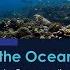 Protecting The Ocean S Vital Places