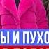 ДАРИМ ШУБУ БЕСПЛАТНО ГАЛЕРЕЯ САДОВОД ШОК ЦЕНЫ ПУХОВИКИ ЭКОШУБЫ ДО 74 РАЗМЕРА