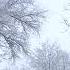 Russian Winter Snowfalls In 2021 In Moscow