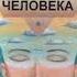 Загадочные СВЕРХВОЗМОЖНОСТИ человека КАНДЫБА В М ФАКТЫ и ДОКУМЕНТЫ Аудиокнига