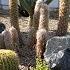 Desert Landscape Project In 2 Days Gravel Boulders Plants Irrigation And Lighting