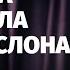 Иван Фёдоров Танцуй так будто никто не видит Стендап клуб представляет