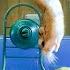 Russian Hamster Vs Hamster Wheel Pets Wild At Heart BBC Earth