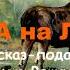 ОХОТА на ЛОСЕЙ в День Рождения слушателя и мецената Владимира Синичникова АУДИОКНИГА Костя Суханов