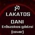 Erőszakos Gádzsi