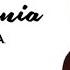 Daya Insomnia Lyrics