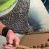 SHREK Fairytale Hammered Dulcimer Cover