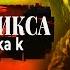 ПРИЕМ ФЕНИКСА Интервью с Tochka K PMTV Channel