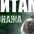 Зачем нужен аль Хайтам Подробный гайд Genshin Impact 3 4