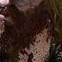КРАТОС рассказал про сыновей ТОРА Магни и Моди God Of War Ragnarök Valhalla