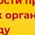 Особенности проведения проверок организаций в 2022 году