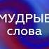 цитаты аудиокнига мудрыеслова мудрость цитатадня литература философия читаетбольшешальский