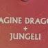 Imagine Dragons Take Me To The Beach Feat Jungeli Official Lyric Video