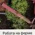 Работа в Европе вакансии работавевропе