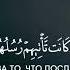 Красивое чтение Корана Сура 64 Ат Тагабун Обделение Аяты 5 6 Чтец Салах аль Баджи
