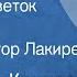 Владимир Канивец Снежный цветок Рассказ Читает Виктор Лакирев 1986