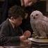 Harry Potter Series Deleted Scenes Of Philosopher S Stone Harrypotter Hogwarts Deletedscenes