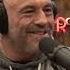 Joe Rogan Experience 2083 Taylor Sheridan