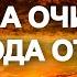 Молитва на очищение рода от грехов