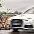 ADAC Crashtest Wildschwein Kollision Mit 80 Km H