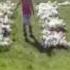 Masiv Roller
