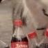 Новая реклама Coca Cola с именами 2014 Бобик Это не я Зачем зовете меня МИЛАШКА