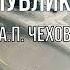 Ну публика А П Чехов
